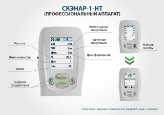 СКЭНАР-1-НТ (исполнение 01)  в Брянске купить Медицинская техника - denasosteo.ru 